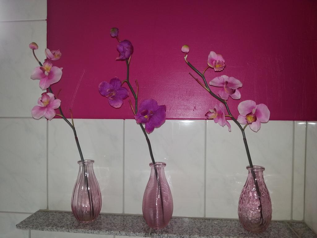 Ferienwohnung Grimmer Weil am Rhein Ngoại thất bức ảnh